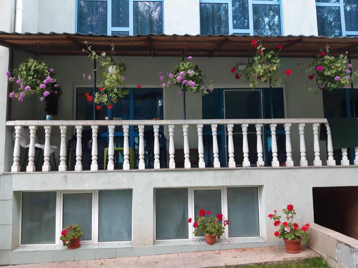 Casa Albastra Drumu Carului Exterior foto