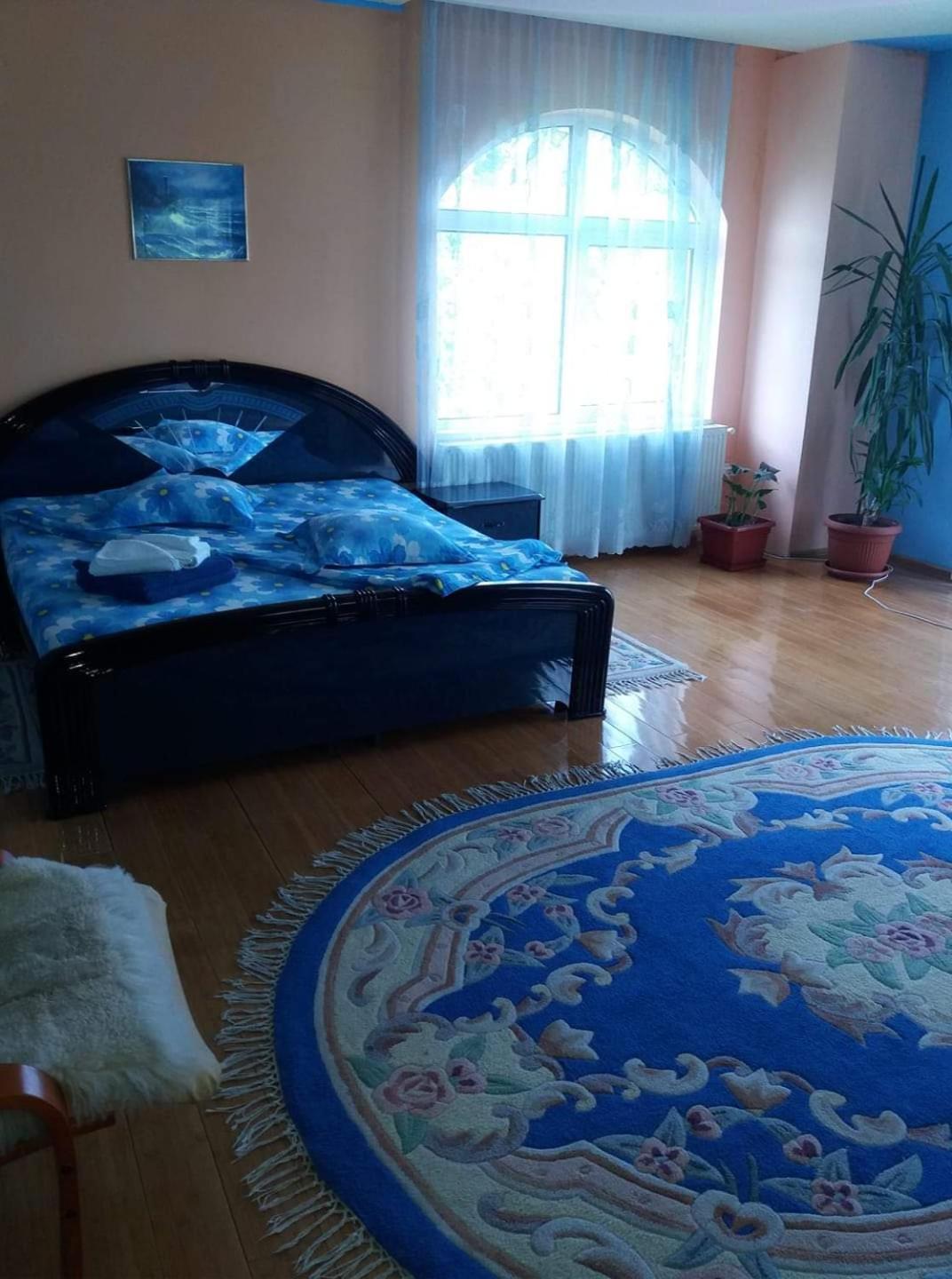 Casa Albastra Drumu Carului Quarto foto